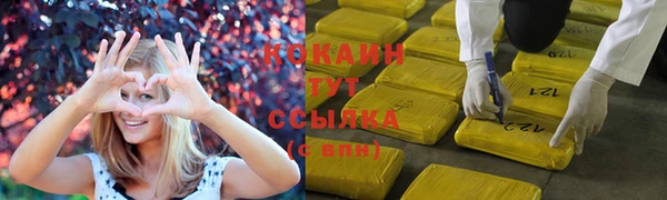 ECSTASY Алзамай