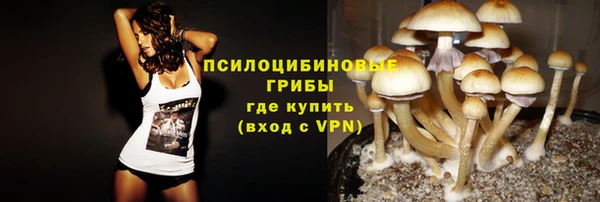ECSTASY Алзамай