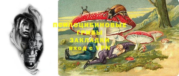 ECSTASY Алзамай
