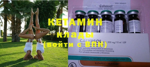 ECSTASY Алзамай