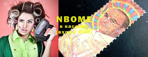 шишки Алексин