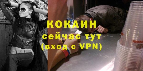 шишки Алексин