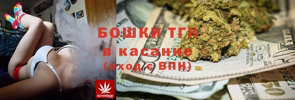 шишки Алексин