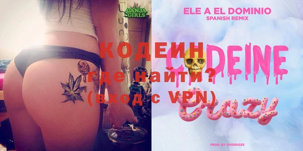 ECSTASY Алзамай