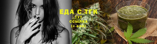 ECSTASY Алзамай