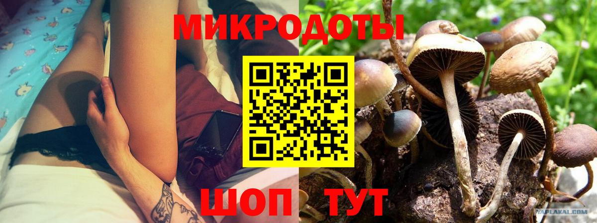 Галлюциногенные грибы Cubensis Бирск