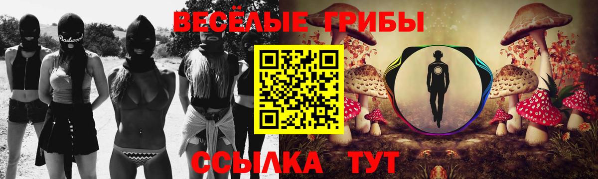 Бирск  Галлюциногенные грибы Psilocybe  Вход с VPN 